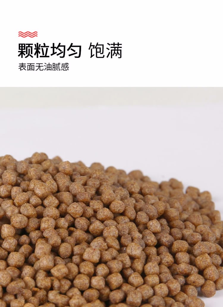 森森(sunsun)锦鲤饲料鱼食观赏鱼鱼粮螺旋藻小型鱼颗粒粮食鱼饲料 dsj