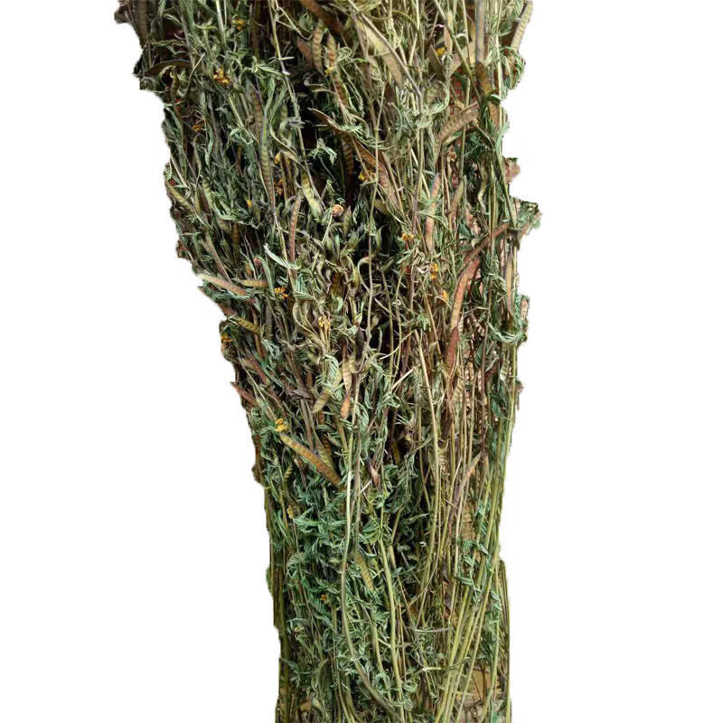 干货软肝草广西药材铁甲草坡扁白煲汤泡水益肝草野生可代打粉 500克