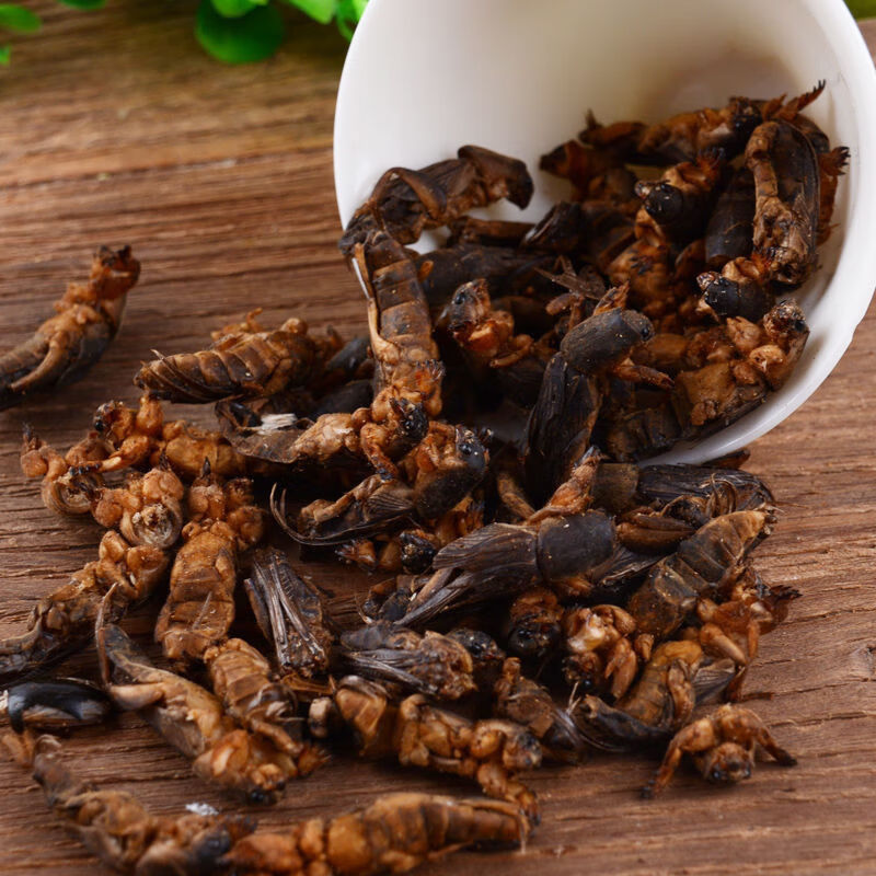 野生蝼蛄土蝼蛄中药材干货无硫蝲蝲蛄杜狗土狗地狗帮