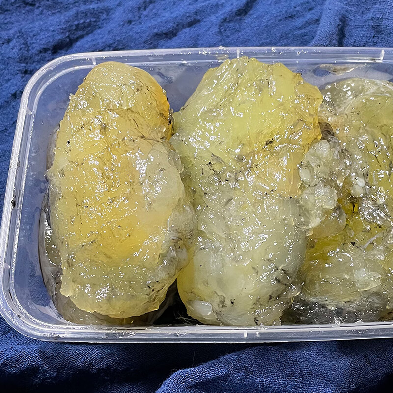 宁波特产东海墨鱼蛋纯膏500g新鲜全淡乌贼蛋鲜目鱼蛋舟山海鲜 无盐