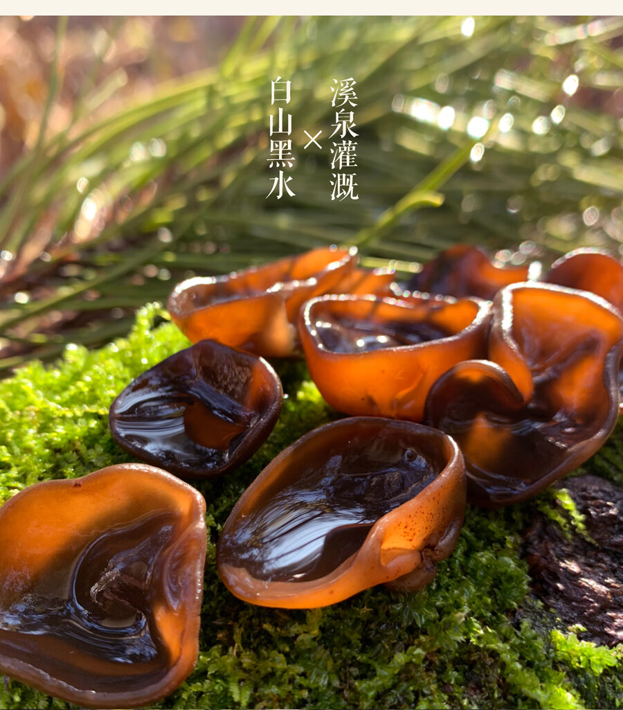 迎新春5折吃情东北东北特产木耳礼盒辽宁沈阳碗耳黑秋木耳700g年货