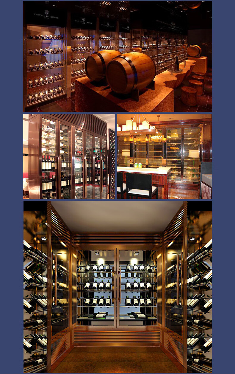 雪茄柜红酒柜私人定制德国智能恒温恒湿不锈钢非标定制雪茄红酒柜家用