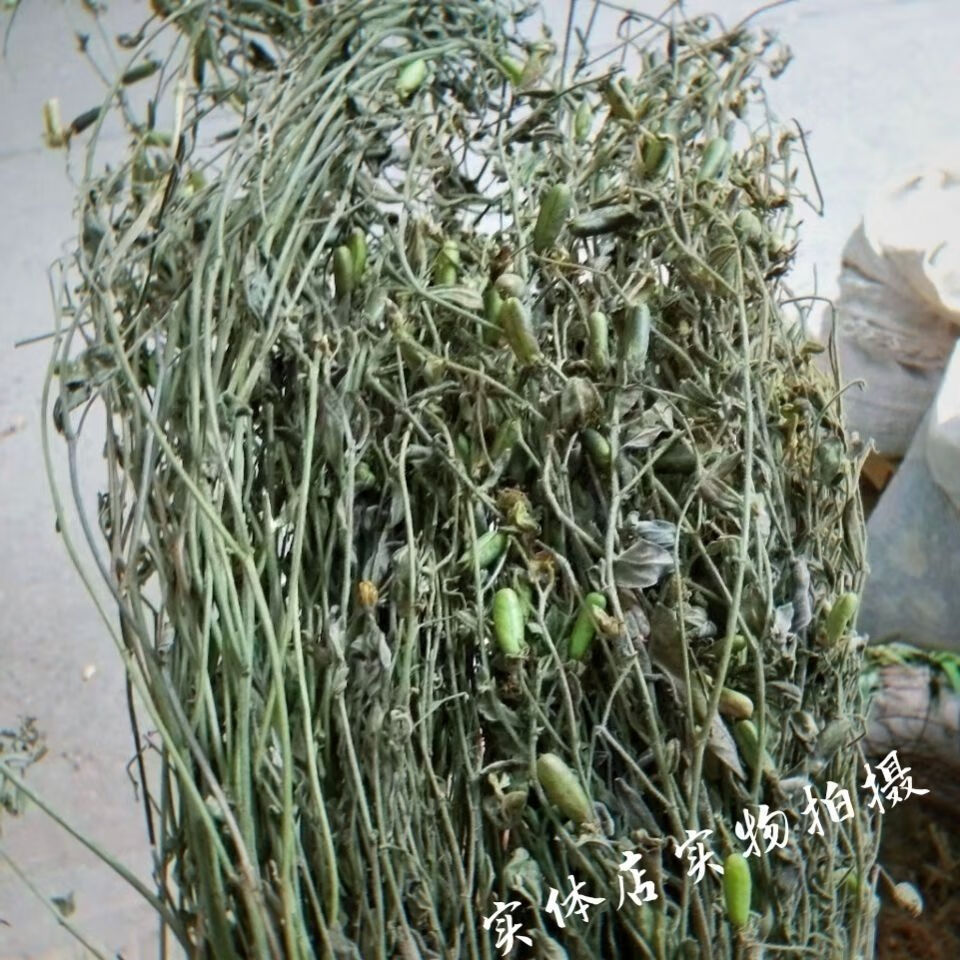 响铃草云南野生中药材响铃草 马响铃 马铃草 假花生 新鲜干货 250克