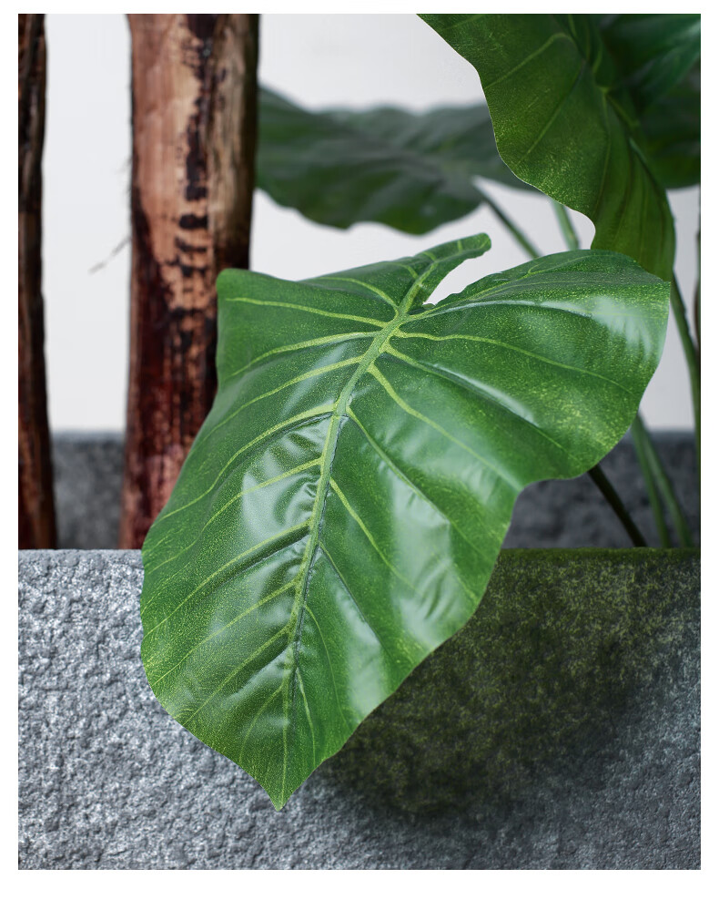 仿真树 装饰北欧大型落地仿真绿植芭蕉树旅人蕉阔叶热带植物隔断橱窗