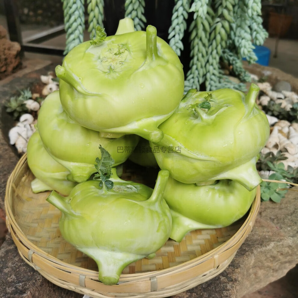 云南新鲜苤蓝蔬菜水果疙瘩菜 芥菜头沙拉菜泡菜农家自种 5斤【图片