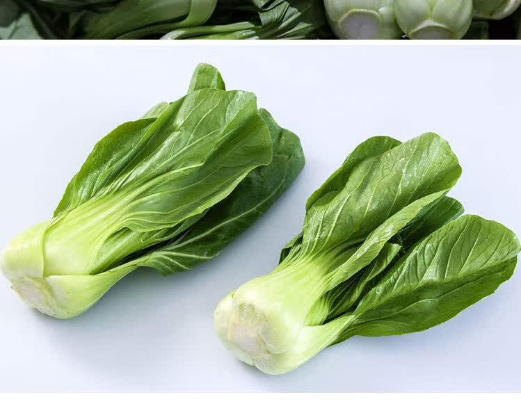 种小青菜种籽冬季秋冬季瓢儿白四季播盆栽疏菜种孑四季青白菜2包60克