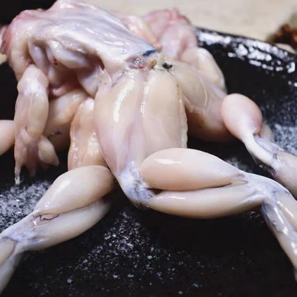新鲜牛蛙肉牛娃腿青蛙速冻大个肉美味现杀真空保鲜烧烤 精选牛娃/1斤