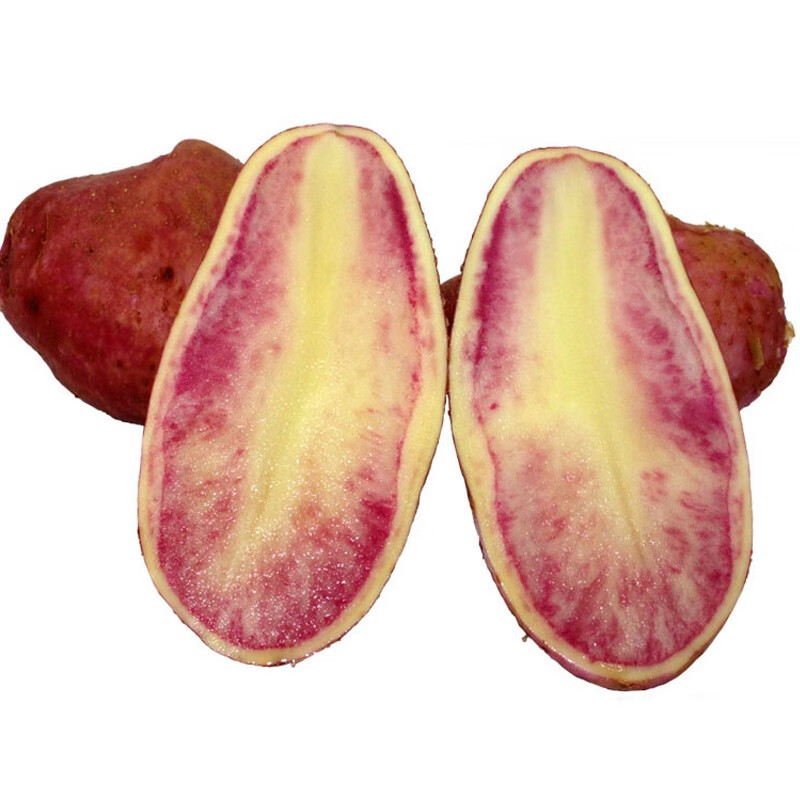 仓梵 土豆 七彩土豆云南土特产红心马铃薯新鲜洋芋花心土豆带箱10斤