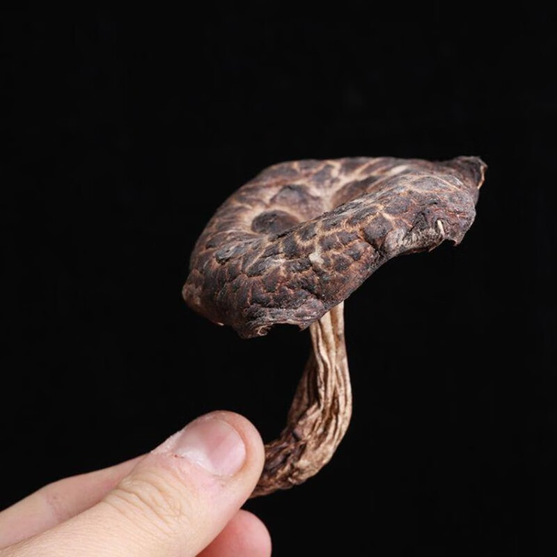 潽禧草堂 中药材 虎掌菌 别名:獐子菌 老鹰菌 黑虎掌 500克