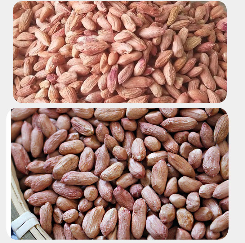 生花生仁瘪花生米当季应季干瘪山东小花生农家自产零食 生瘪花生米