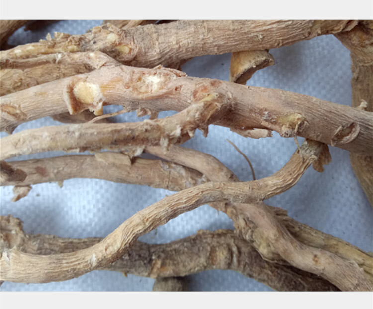 伟博观音串 倒吊黄根 纯根 黄花倒水莲倒吊王根农村采挖500克无硫干品