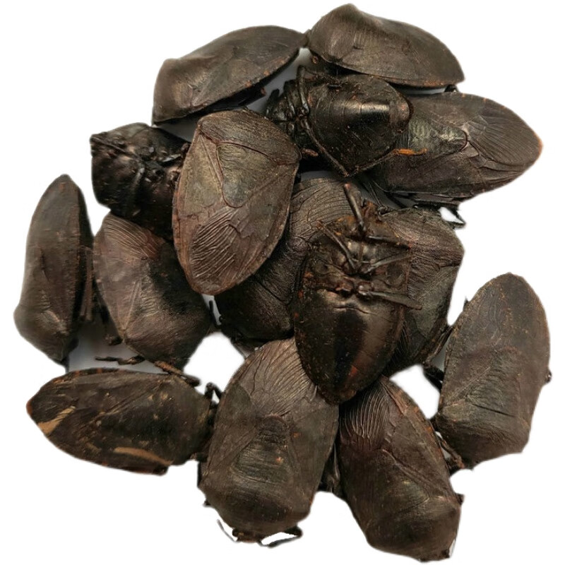 云南野生九香虫中药100g新鲜瓜黑蝽打屁虫男性食用放屁虫特级泡水