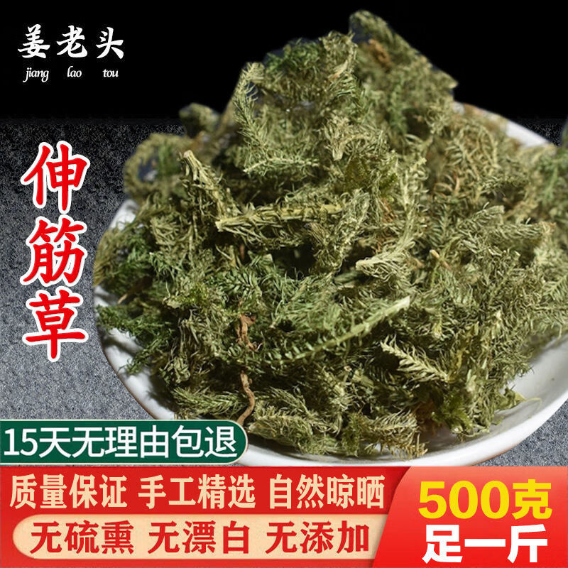 新貨伸筋草500克品質保證伸筋草石松獅子草泡腳多種規格精選伸筋草500