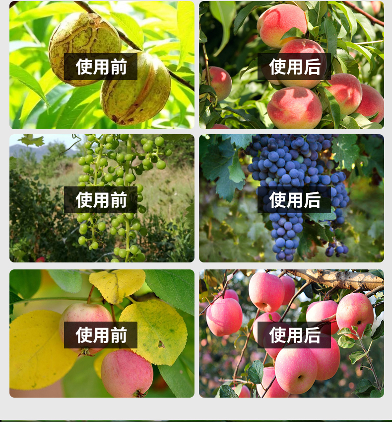 聚丰春果树专用膨果素膨大素保花保果坐果灵农用果树蔬菜通用水溶叶面