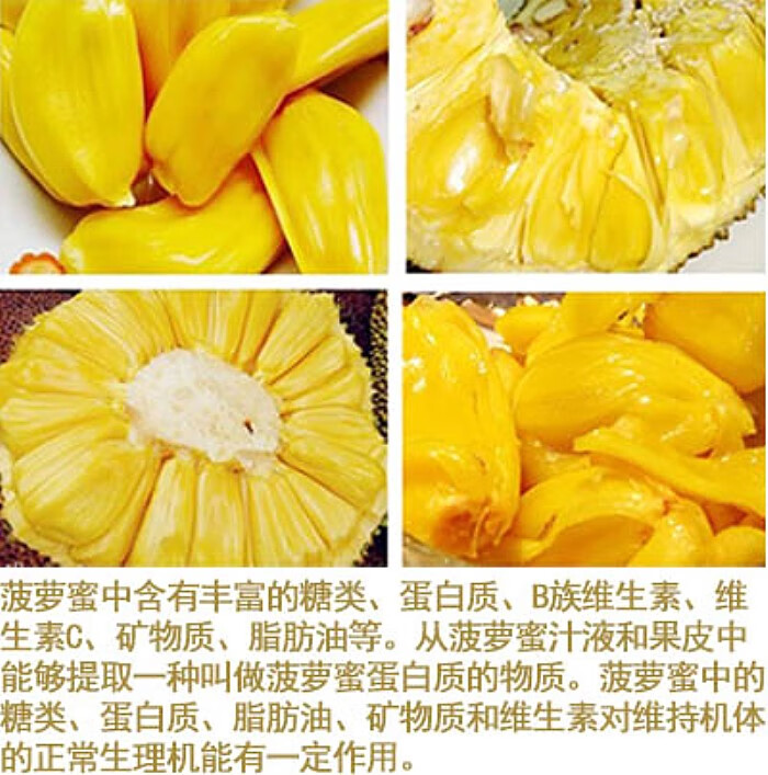 菠萝蜜的营养价值图片
