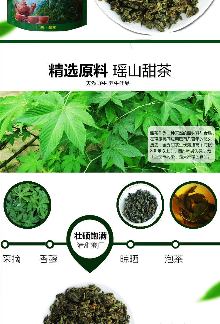 甜茶叶的图片与功效图片