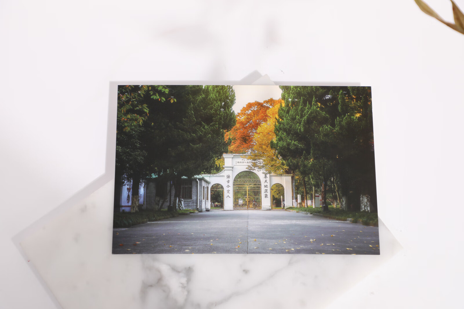 子木雅居(zimuyaju) 苏州大学明信片 苏大明信片 苏大海报名校明信片