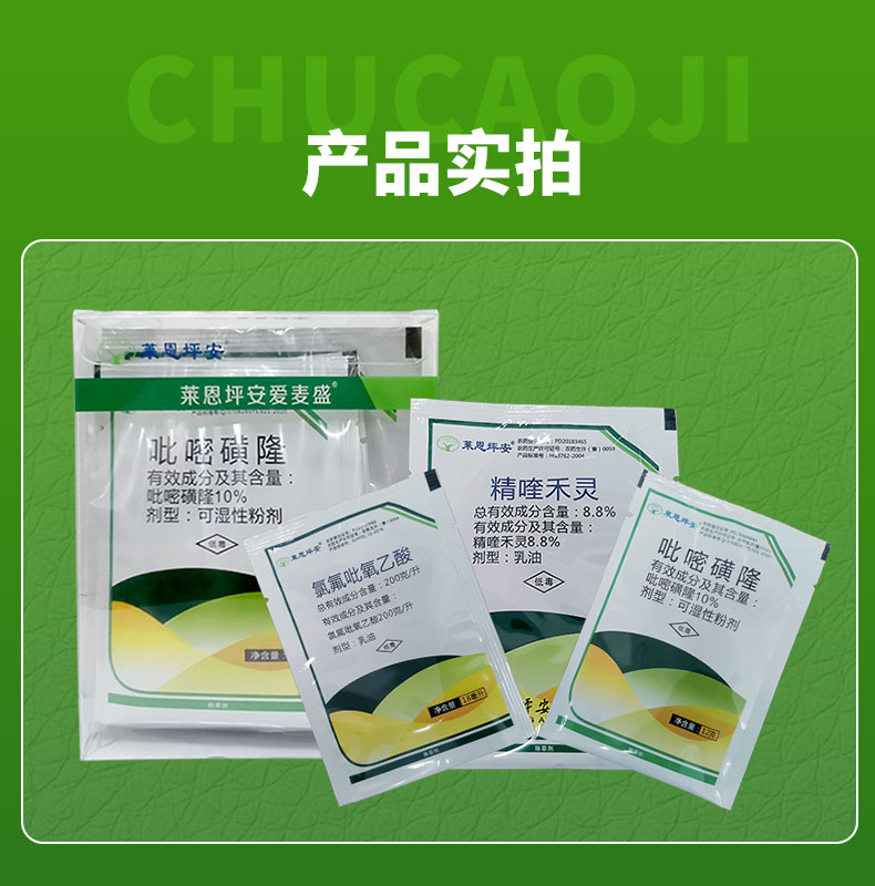 坪安玉龙净爱麦盛玉龙草日本矮麦冬不伤麦冬除草剂阔尖叶莎草杂草 65