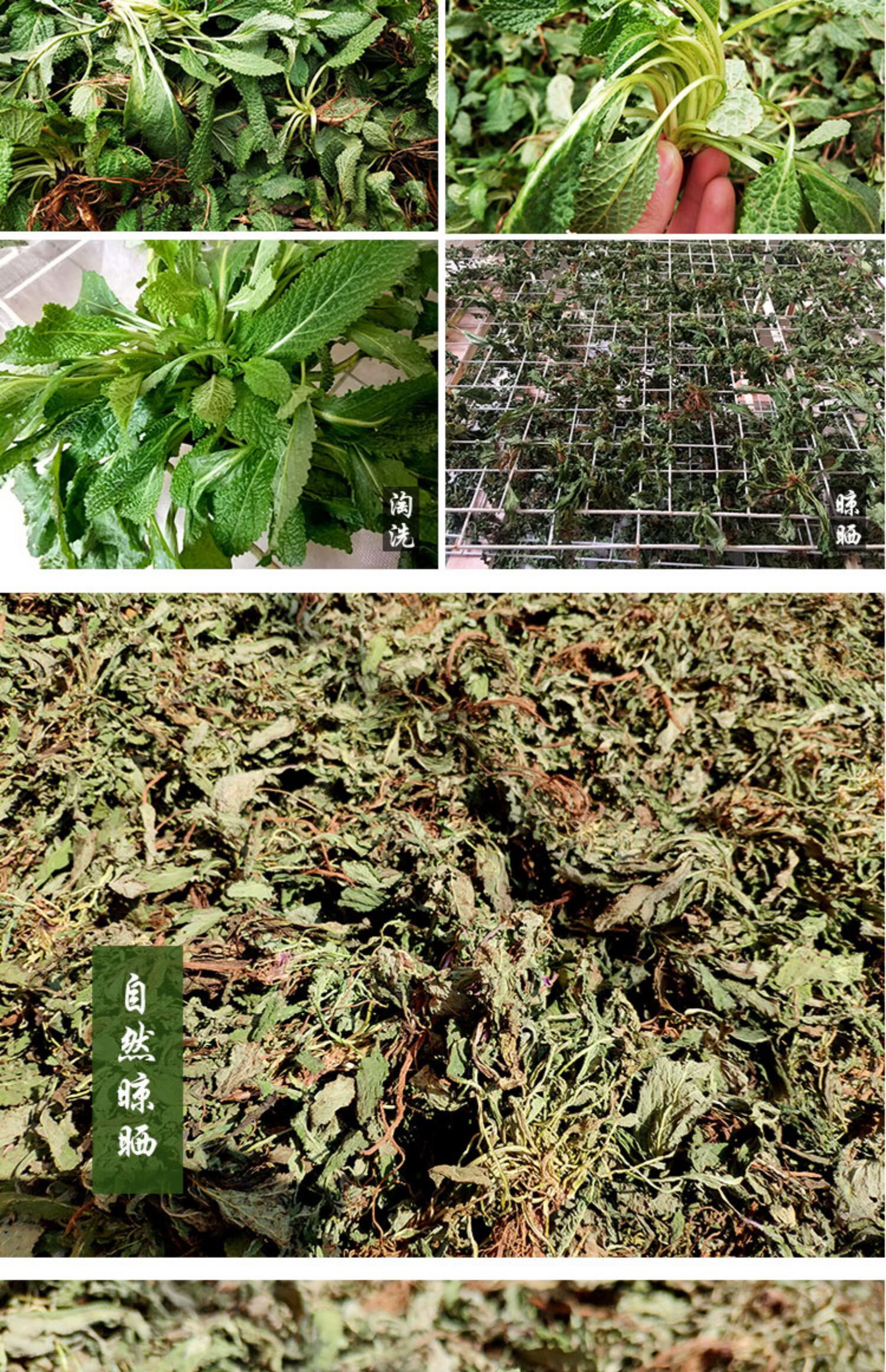 蛤蟆草整颗全草带根干净野生癞蛤蟆皮荔枝草干品500克