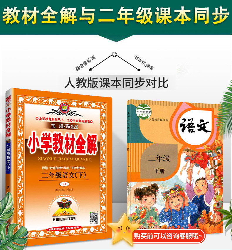 2022春小学教材全解二年级语文下册人教版rj2二年级语文书教材解读全