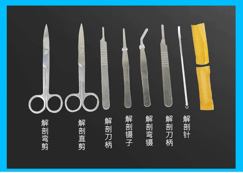 生物解剖器七件套7件套四件套解剖针解剖刀剪刀生物解剖工具套装标本