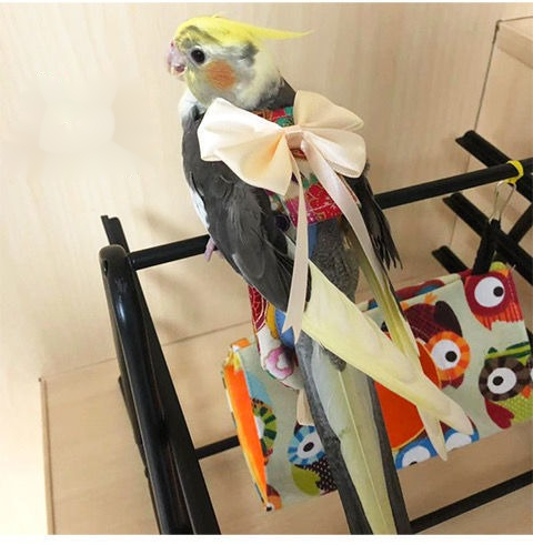 鹿凌青 鹦鹉穿的衣服 定制玄凤鹦鹉汉服尿不湿宠物鸟用和服屎兜飞行衣