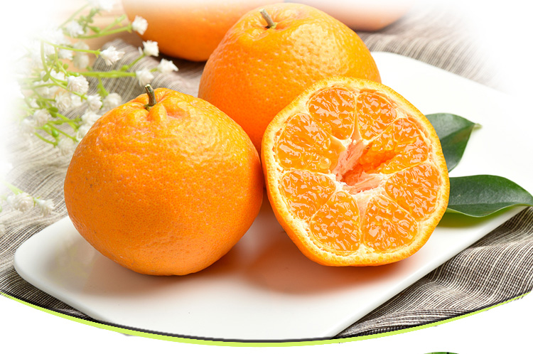 御农优品四川春见柑橘粑粑柑新鲜水果中果5斤
