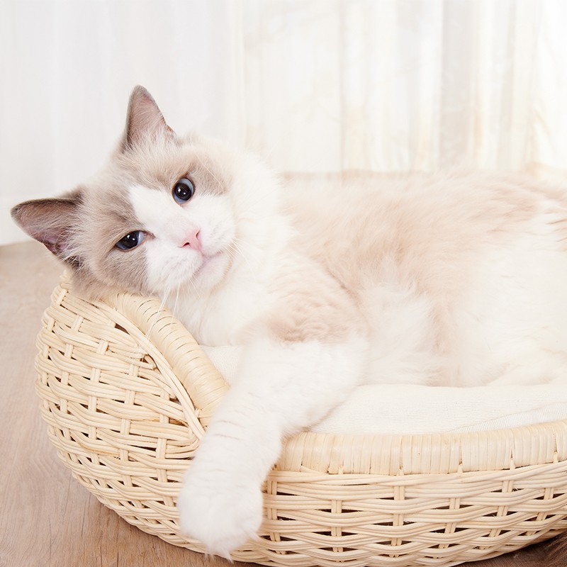 猫咪世界日本necosekai进口手工藤编织猫窝猫床宠物用窝垫秋冬季保暖
