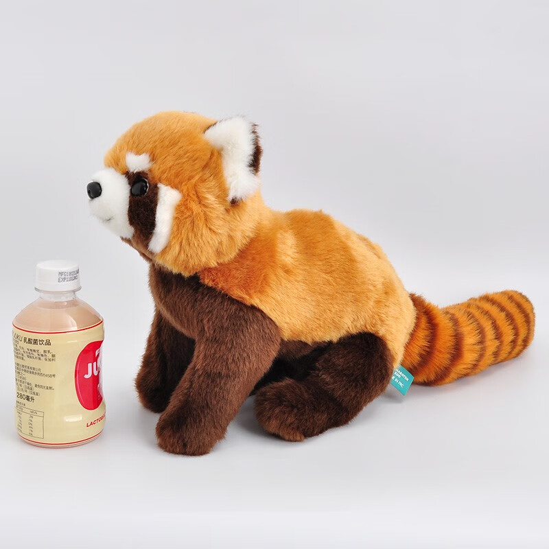 可爱小熊猫玩偶红熊猫公仔动物园毛绒玩具模型礼物礼品 仿真小熊猫 高