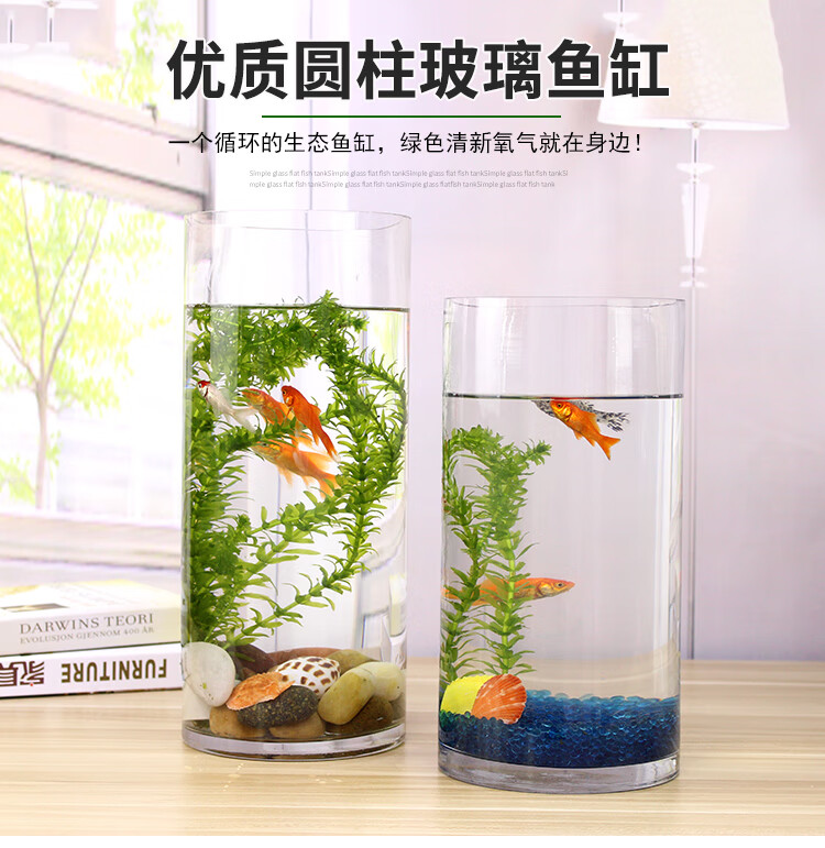 小鱼缸玻璃金鱼缸裸缸客厅办公室桌面家用摆件圆柱鱼缸小型水族箱 25x