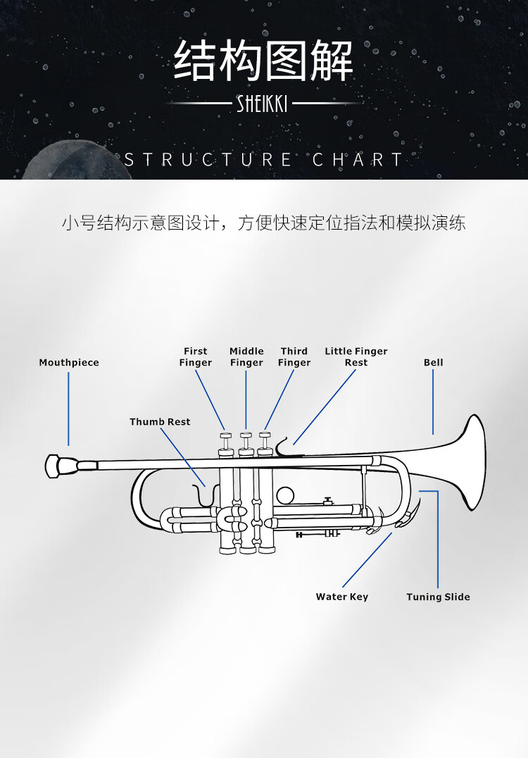 夏奇拉sheikki專業小號指法圖解降b調短號練習表五線譜自學習工具樂隊