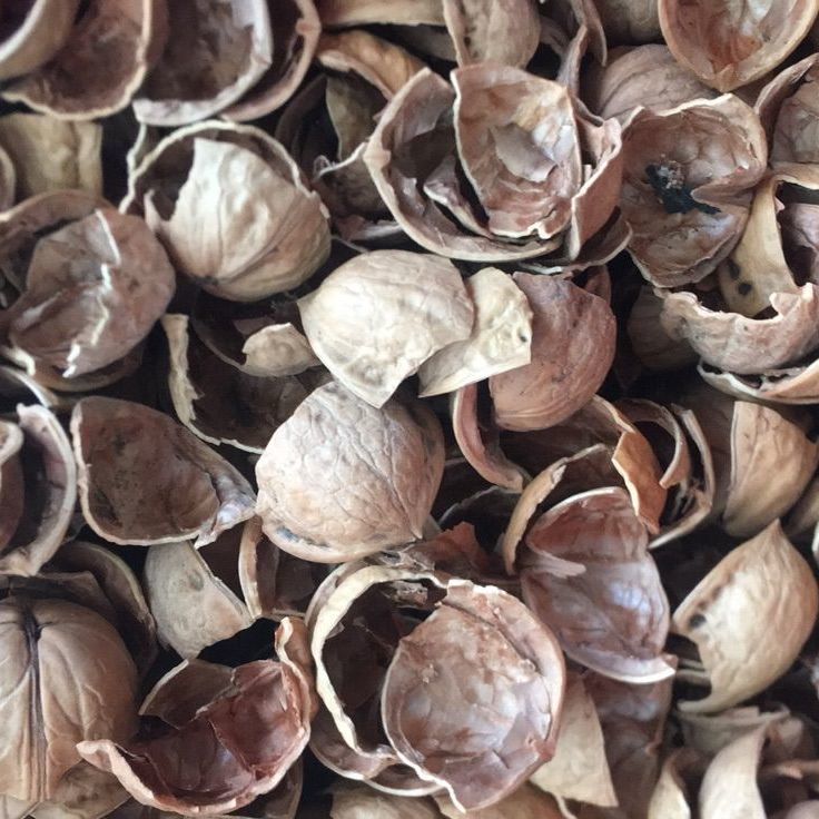 有仁堂中药材核桃壳核桃皮核桃外壳优选核桃壳500克