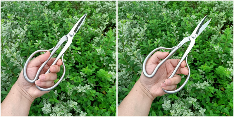 球节剪球节剪盆景工具球剪球结剪盆栽造型制作球形剪树瘤树节修剪 b款