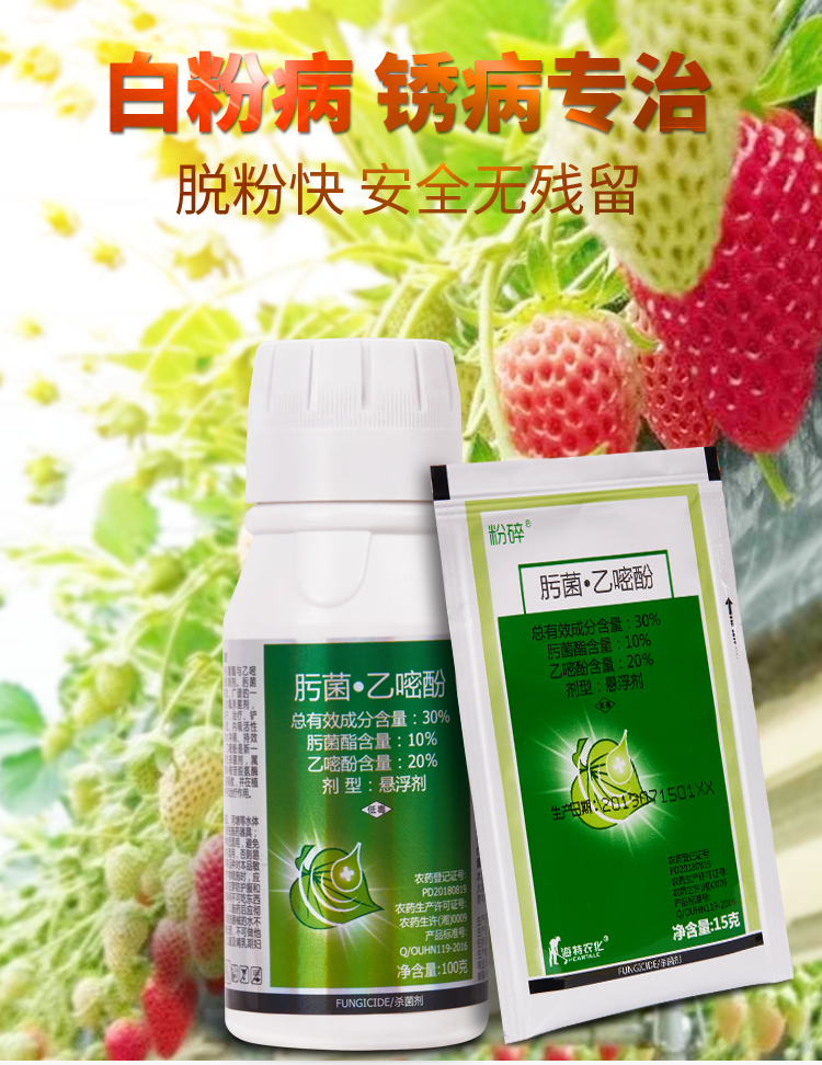 白粉病锈病专用肟菌酯乙嘧酚大棚草莓番茄花卉蔬菜果树农药杀菌剂 100