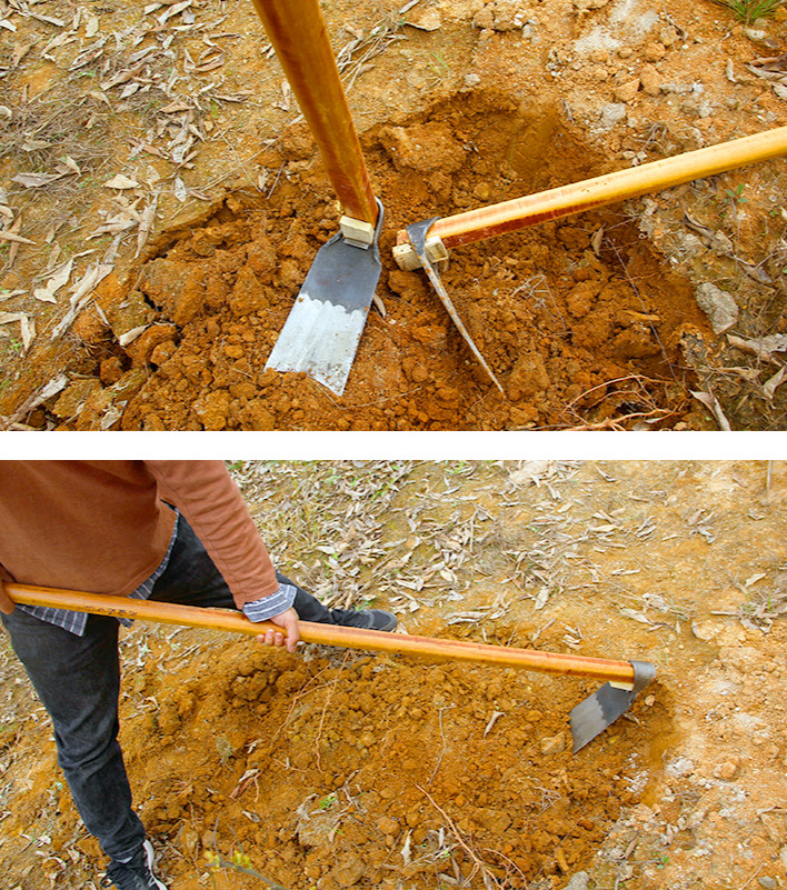 锄头锰钢家用挖土开荒锄地农具挖冬笋探笋专用工具种菜神器农用 大号