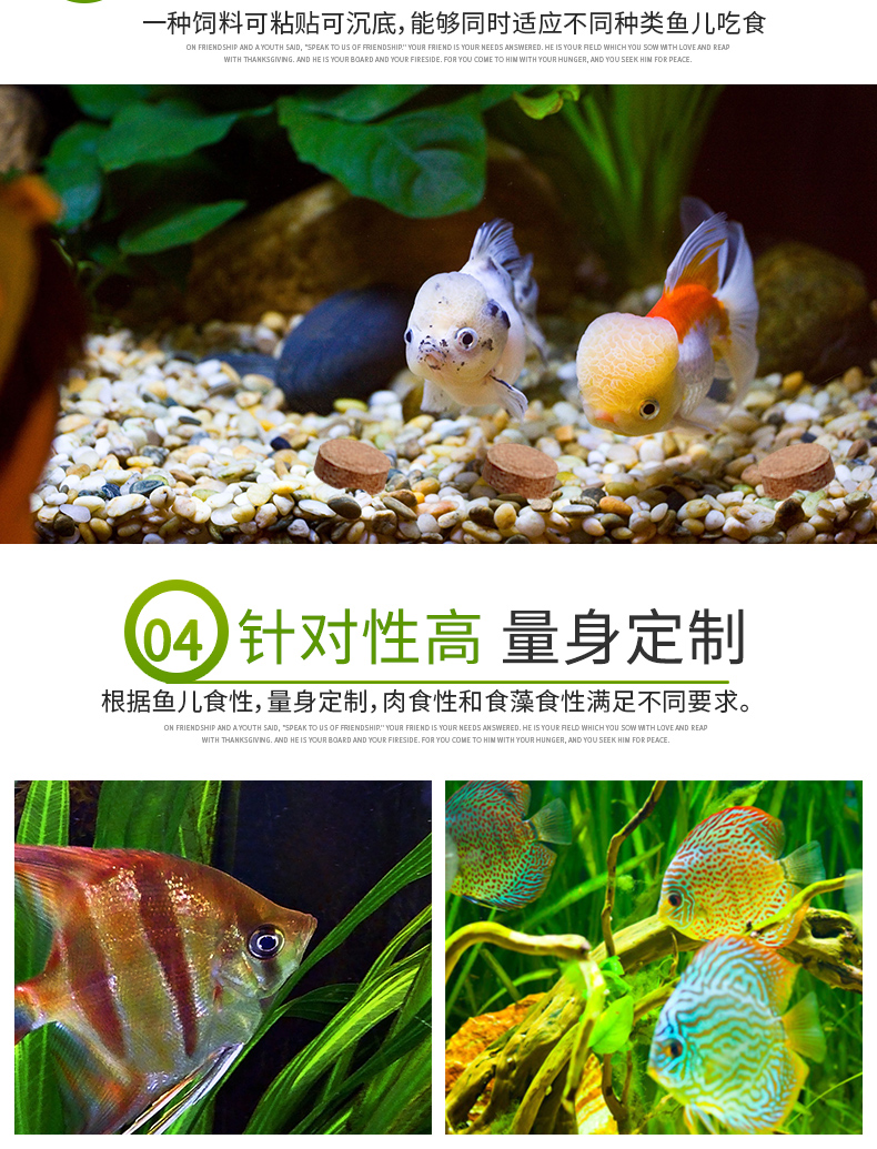 百因美水族观赏鱼饲料鱼缸用品鱼粮小型热带鱼鱼食肉食贴片肉食贴片饲料110g 图片价格品牌报价 京东