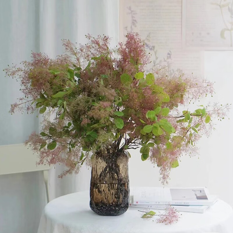 雾中情人鲜花黄栌烟雾树雾草鲜切花家用水养插花母亲节 雾中情人一扎3