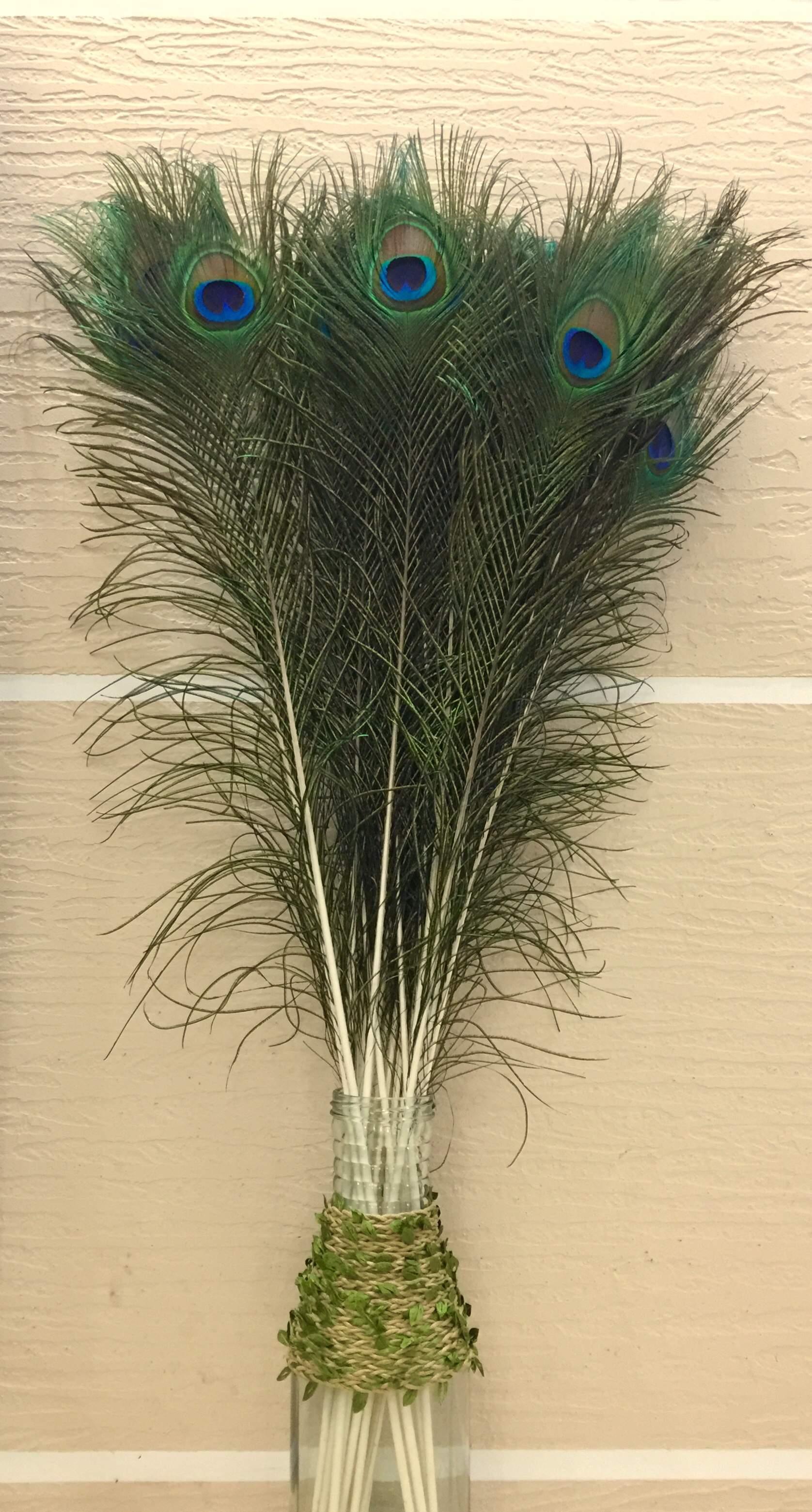 真孔雀羽毛25130cm翎尾大眼睛diy饰品装饰花瓶专用孔雀毛7080大眼6根