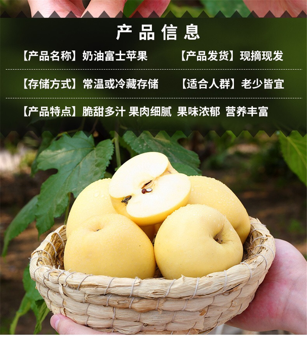 于小乖生鲜奶油苹果装山东烟台白冰糖心黄奶油富士奶油富士带箱约5斤