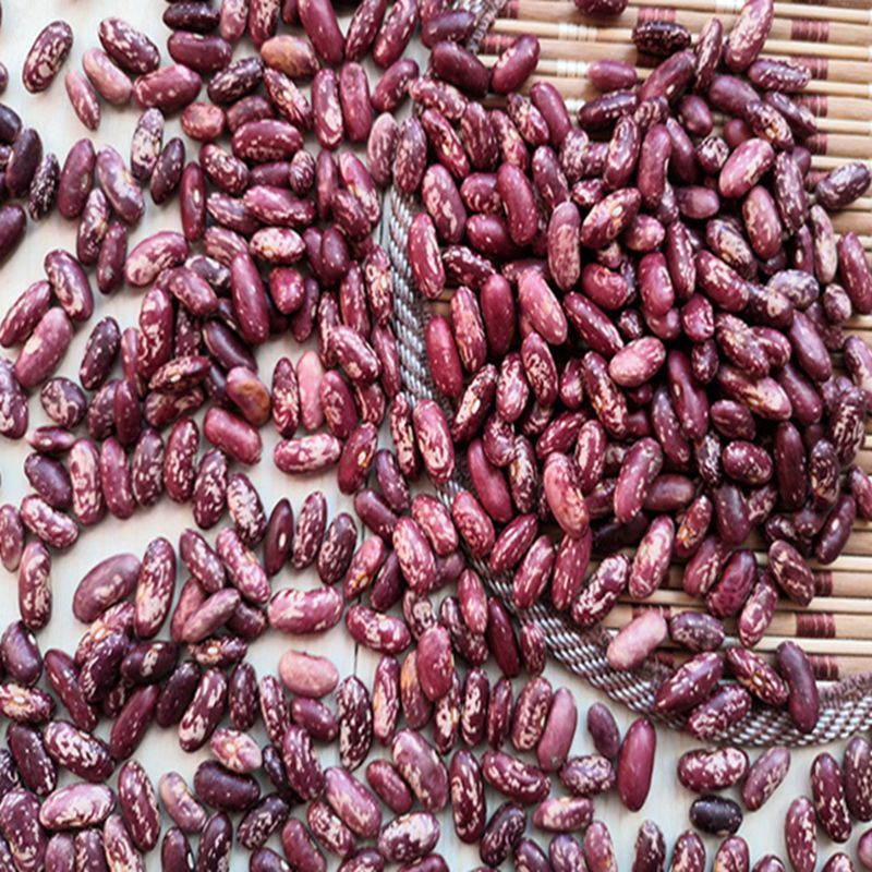 贵州农家干花豆米贵州特产四季豆紫芸豆红花芸豆酸菜豆汤豆子杂粮2斤