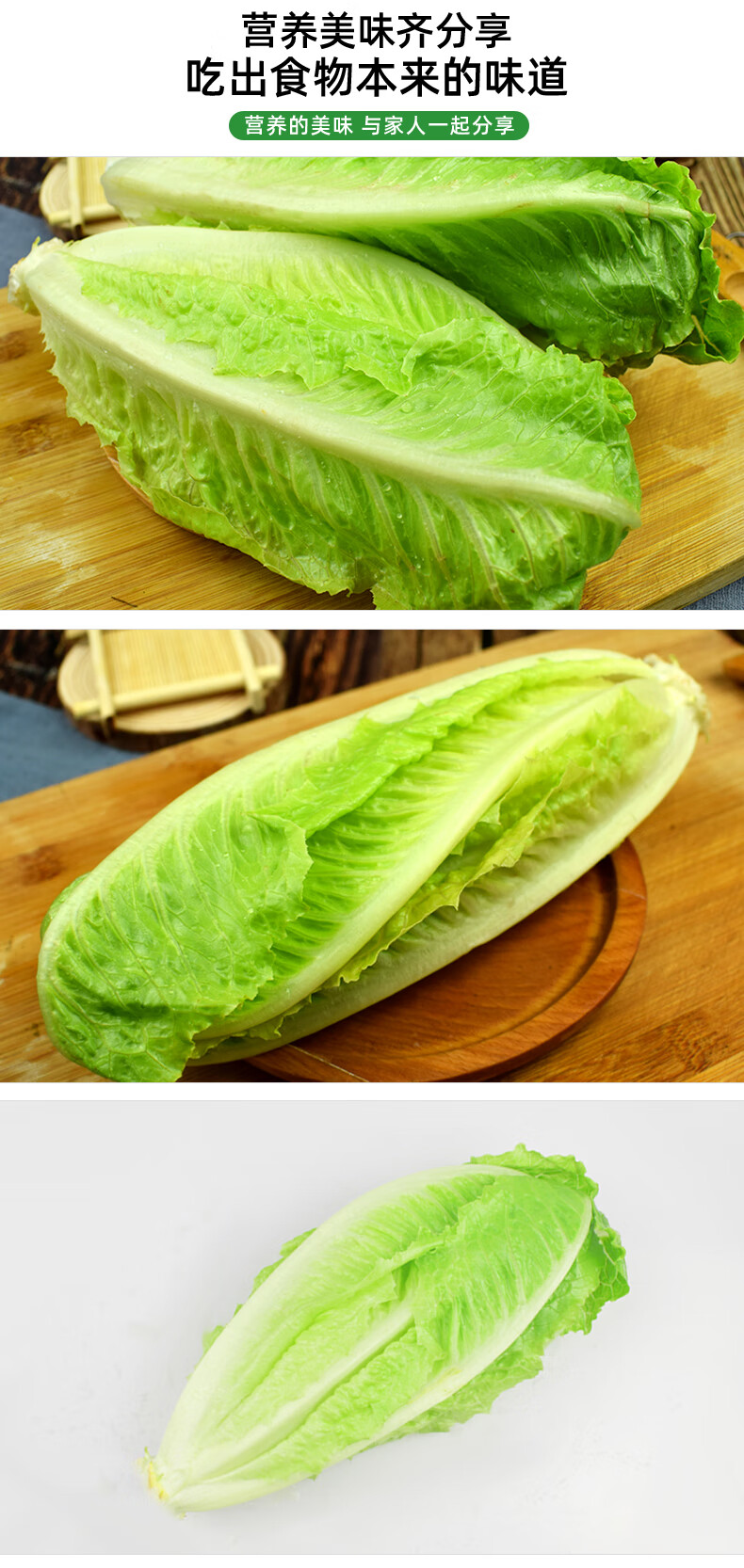 绿食者新鲜包心罗马生菜500g罗马罗纹生菜凯撒沙拉蔬菜西餐沙拉食材