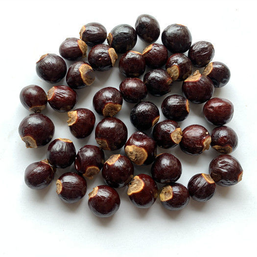 桂圆核干桂圆核龙眼核桂圆骨元肉核元肉籽中材桂圆核3斤