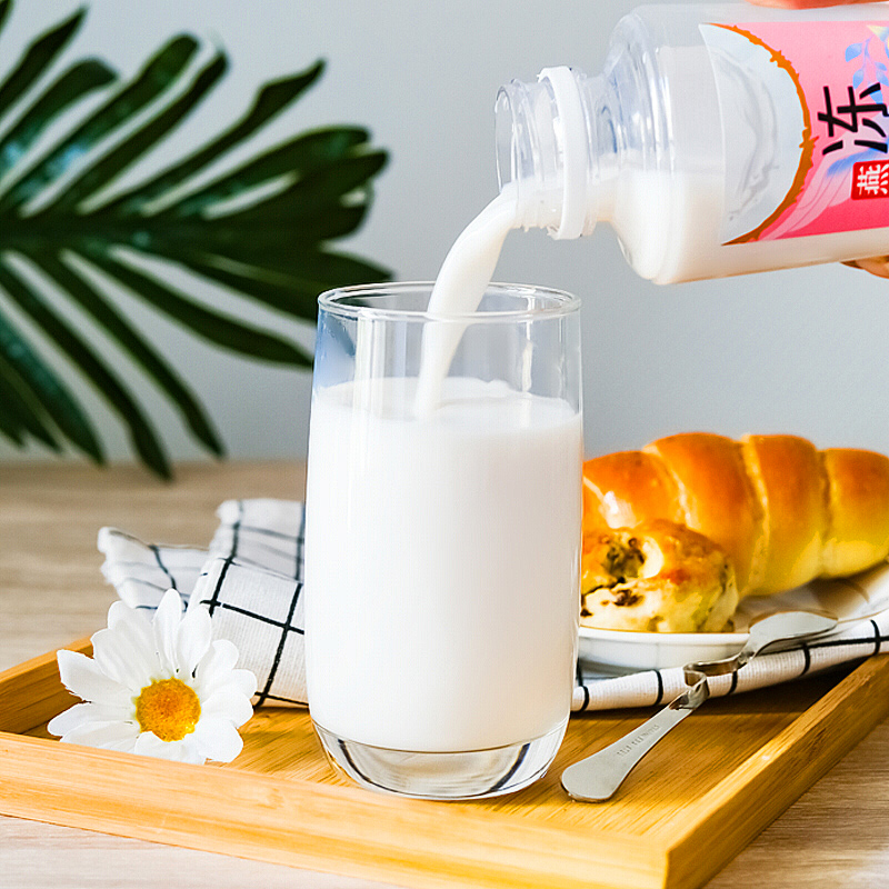 椰汁洛菲特鲜榨椰奶330ml*6瓶整箱网红饮料燕窝生榨椰汁 【整箱】椰汁