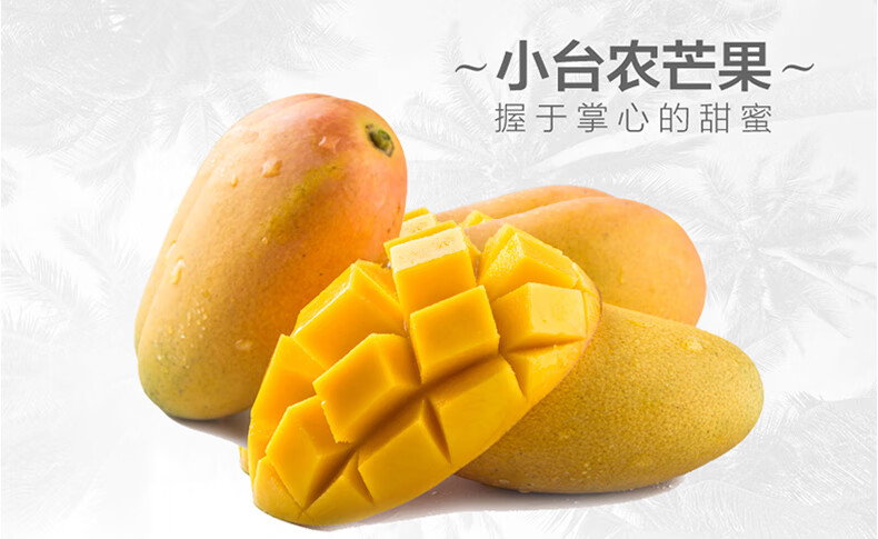 海南小台农芒果10斤新鲜当季水果热带贵妃甜心芒小台芒整箱