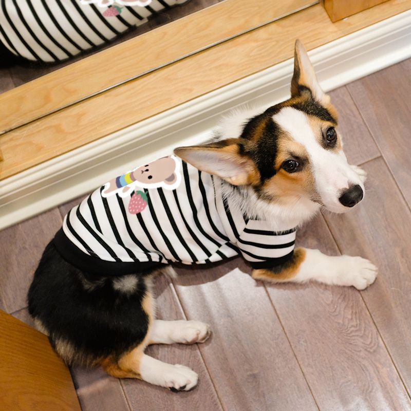 小郎人柯基犬衣服柯基专用衣服春秋款小狗狗小型犬中型犬幼犬防掉毛