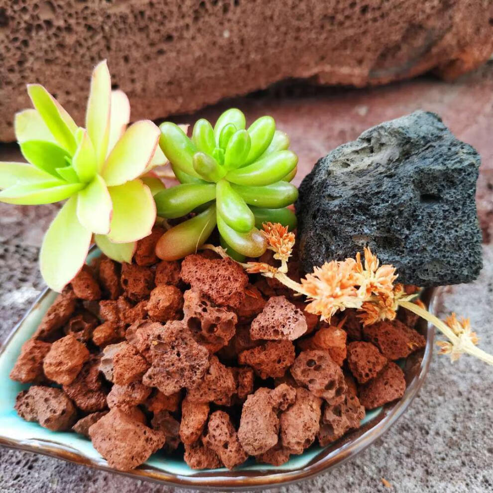 槿骁火山石颗粒多肉火山岩铺面石头颗粒兰花土多肉土专用营养土冲量9