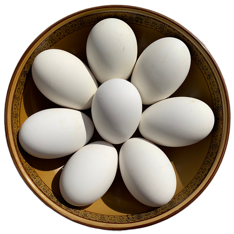 农家姑娘 新鲜鹅蛋 大鹅蛋 土鹅蛋 12枚和24枚一箱 发顺丰快递 12枚