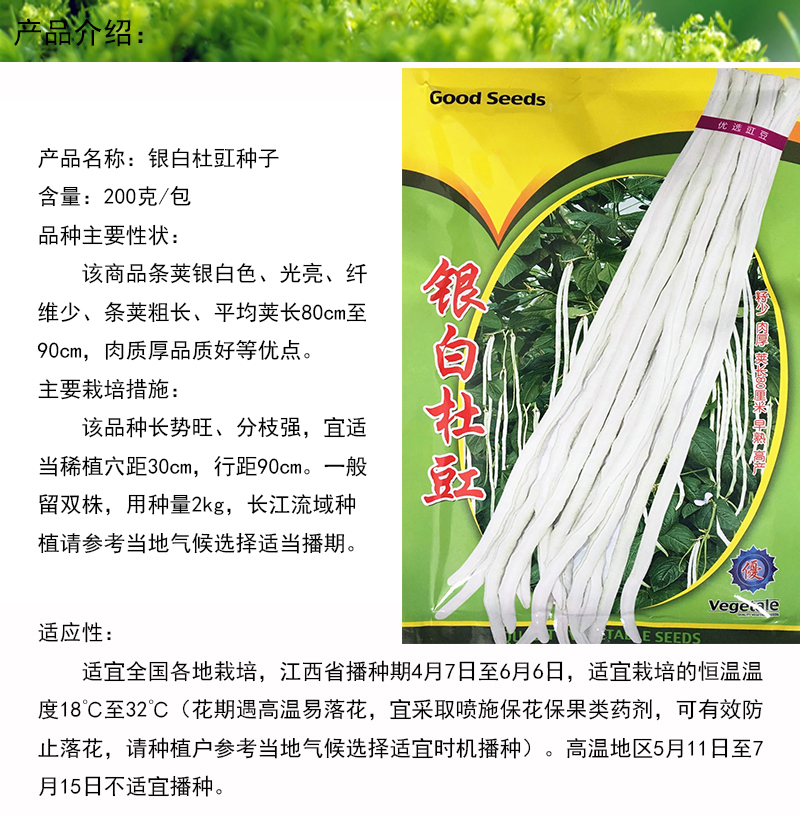 禾花楹 长白豆角种子蔬菜种子 春秋白杜豇种子 银白杜豇 白色长豆角