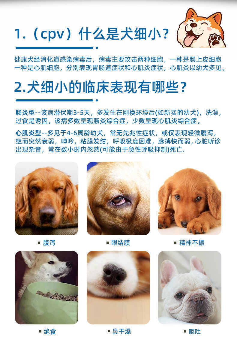 犬瘟抗体s3图片