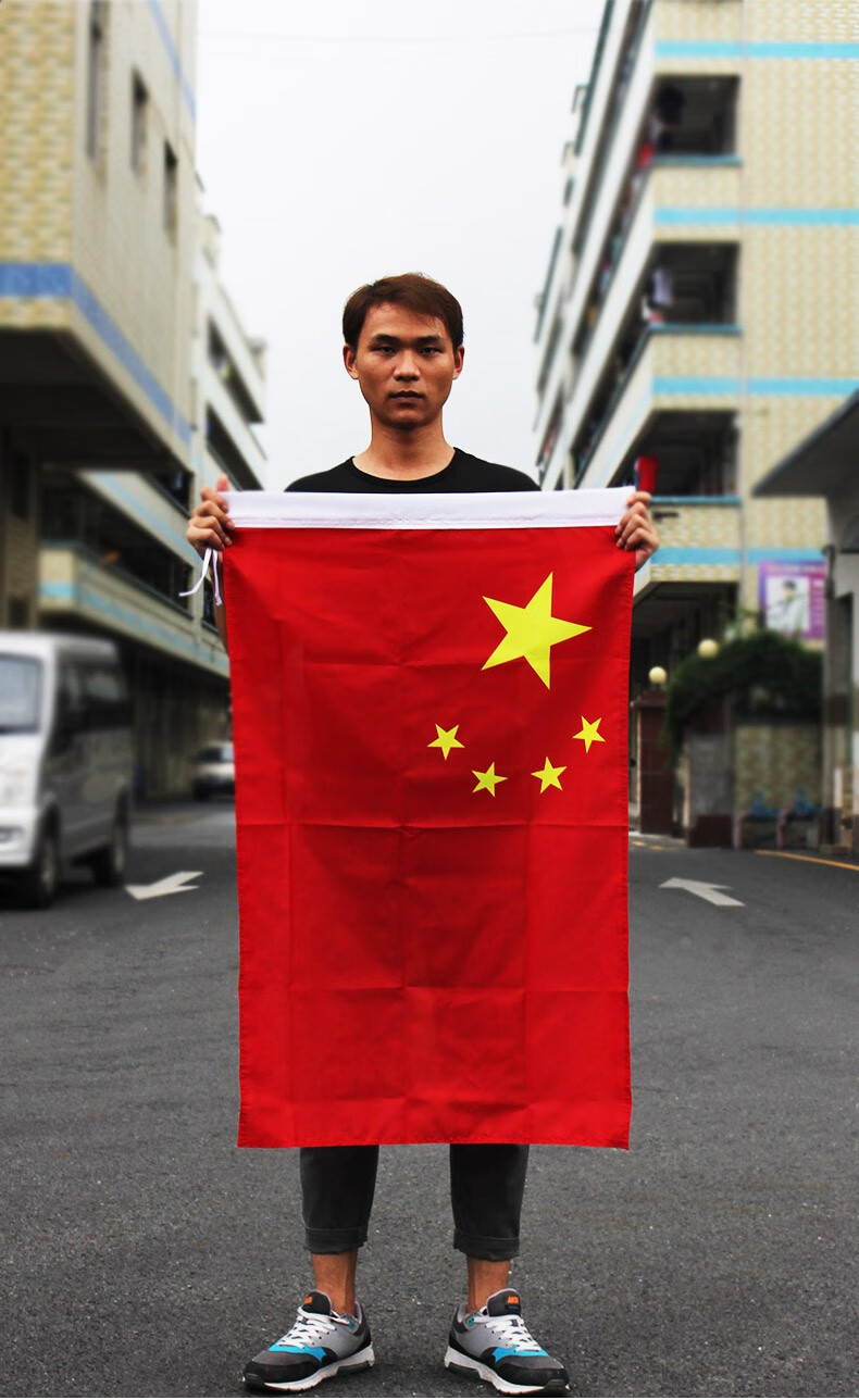 淘禧(tao xi) 5号标准国旗五星红旗中国国旗国庆节装饰国旗手挥旗装饰